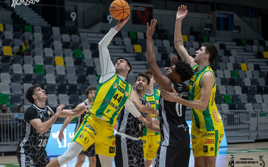 Jaén Paraíso Interior FS visita a Unión Linense Baloncesto en la jornada 16 con el reto de mantener su excelente dinámica